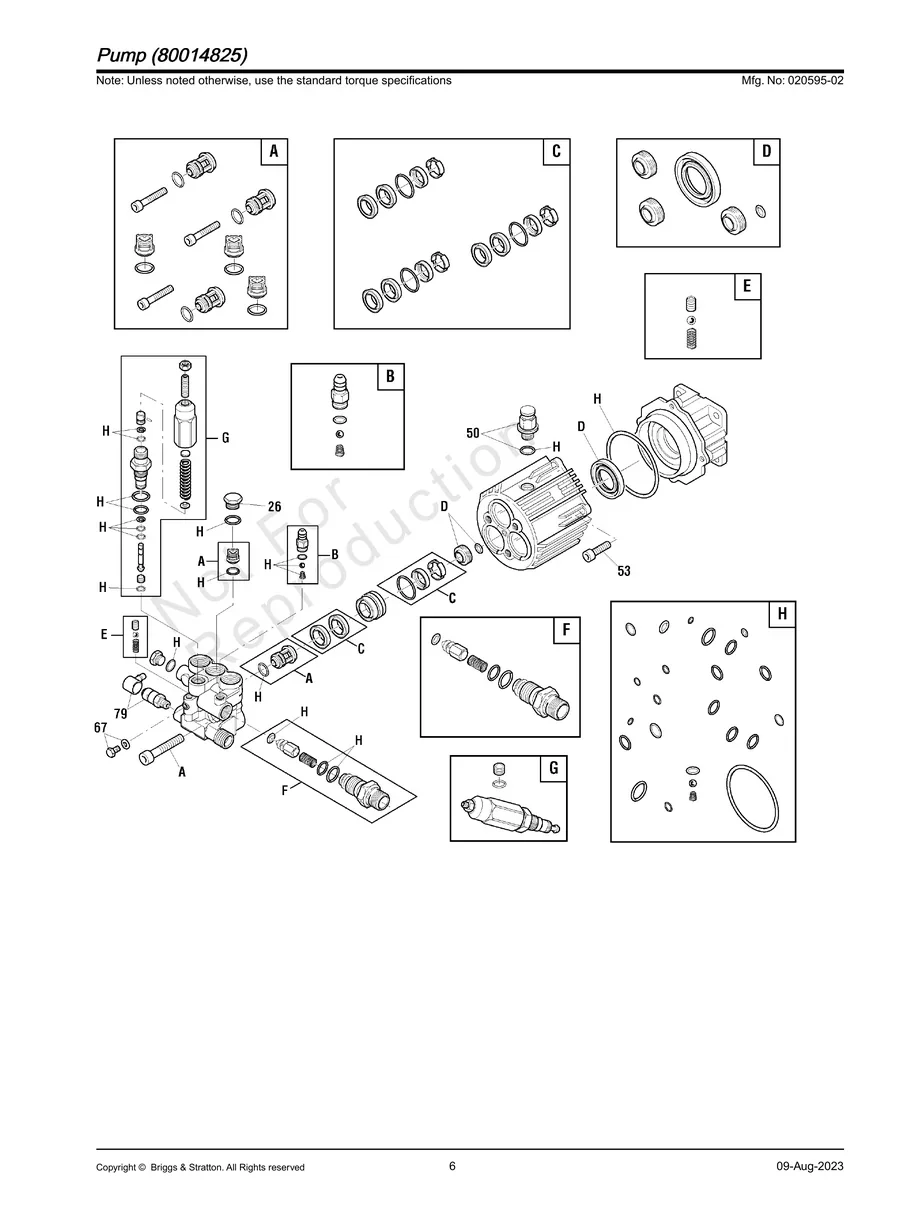 BRIGGS AND STRATTON, 020595-02, IPL.6